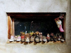 Window with upcycled shoes used as plant pots, showcasing creativity in repurposing materials.