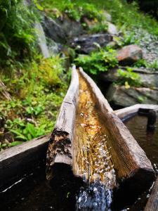 Carved log waterfall in a forest, emphasizing the importance of listening to nature's sounds